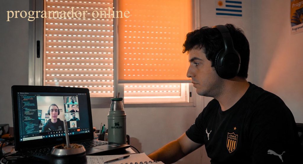 programador online